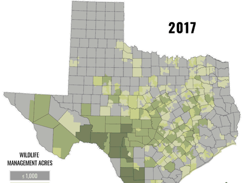 Wildlife Management 2017
